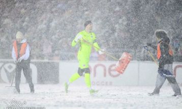 گل قیچی برگردان زیبا در برف سنگین