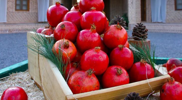 جشنواره انار در پاوه برگزار شد