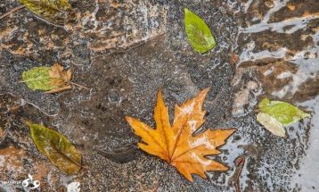 باران مهمان کرمانشاه می‌شود