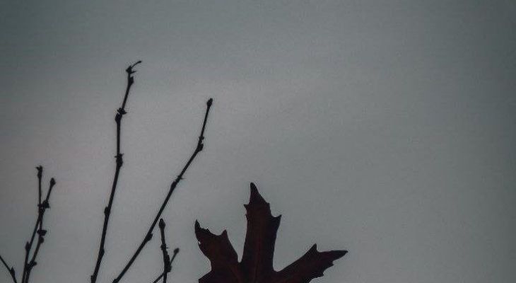 صحنه، بهشت ناشناخته طبیعت استان کرمانشاه