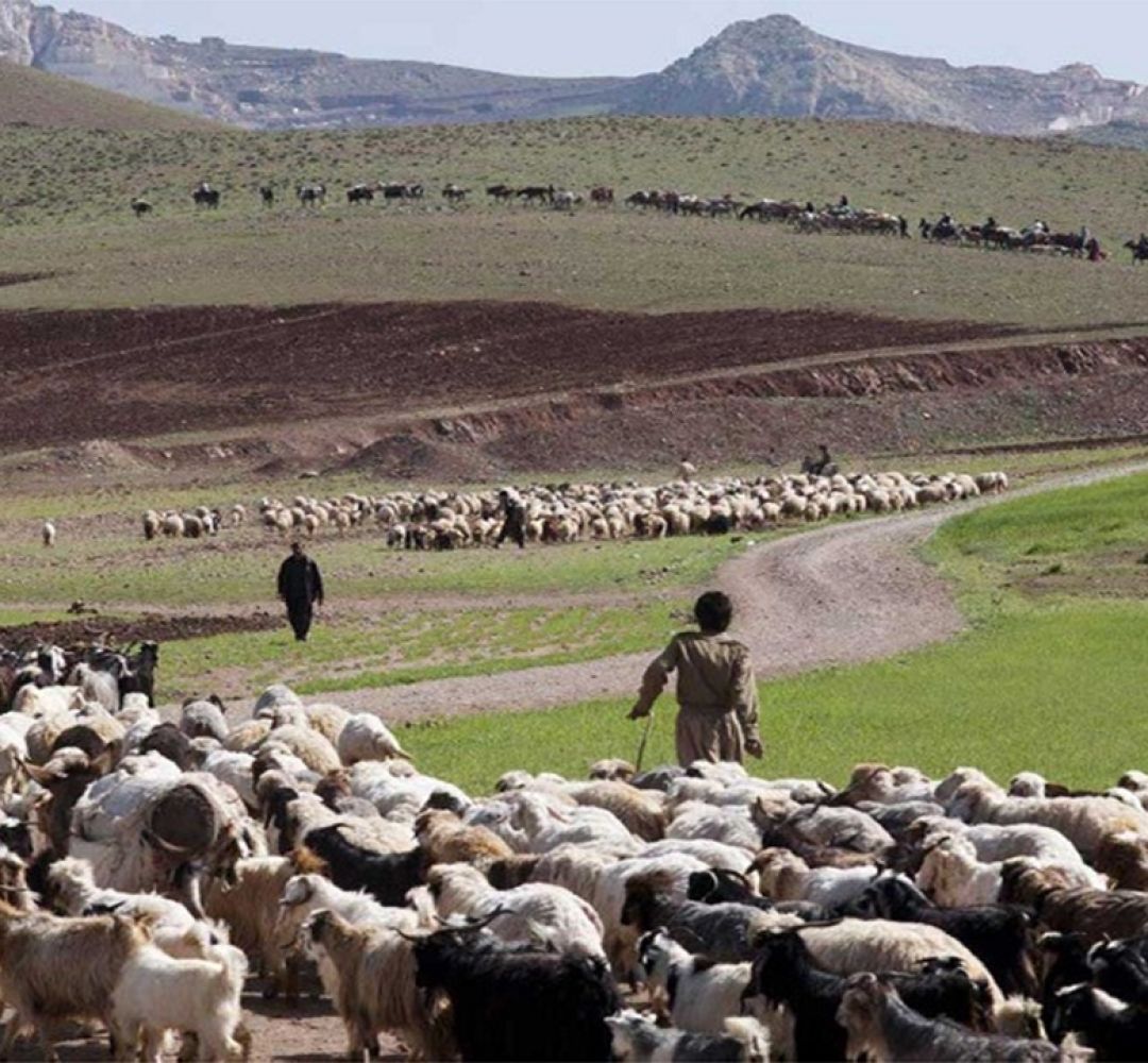 عشایر کرمانشاهی از بی‌آبی رنج می‌برند