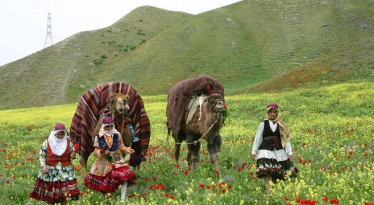 عشایر کُرمانج