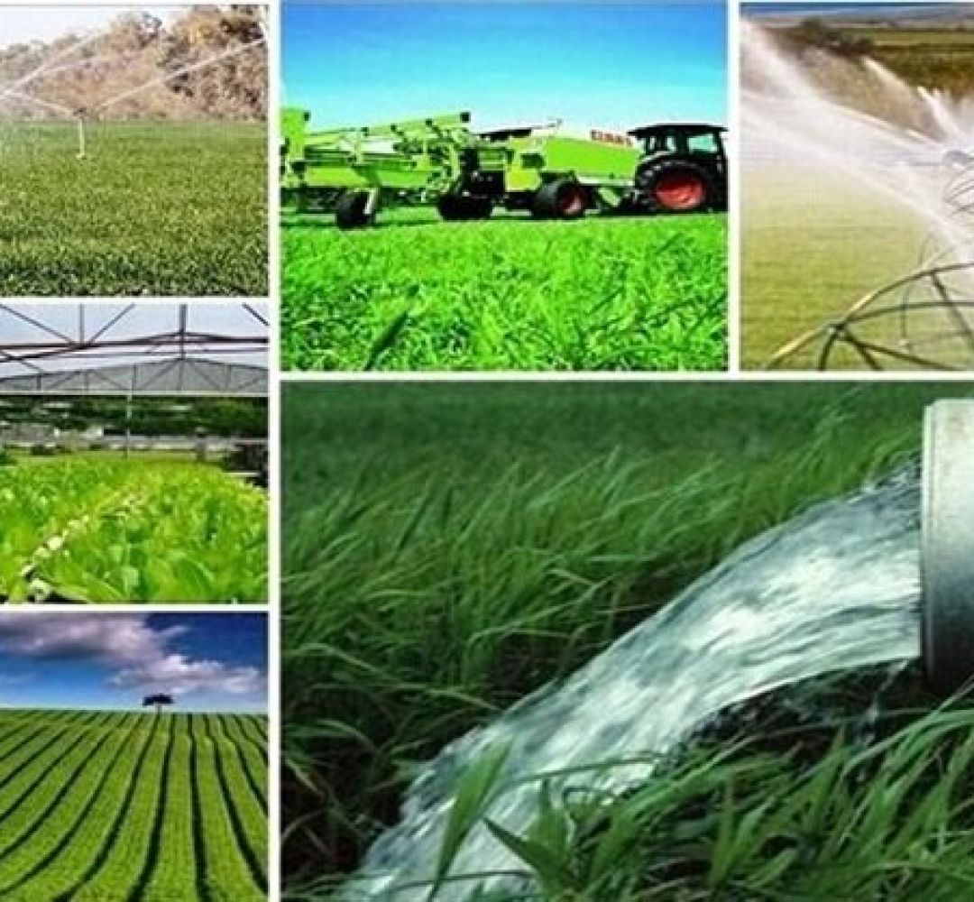 یک‌پنجم اقتصاد کرمانشاه بر پایه کشاورزی بناست